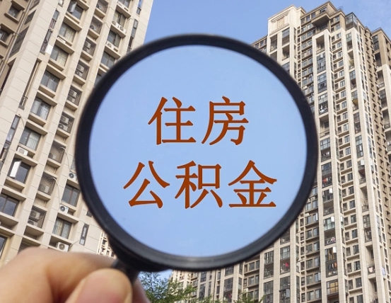 邵东离职了可以取出来公积金吗（离职了能否提取公积金）